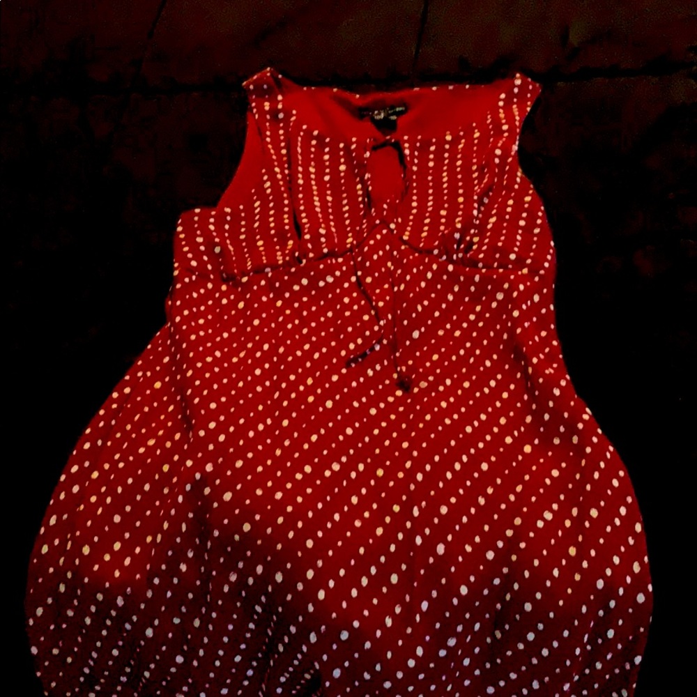 Women’s dress size 16.  Dot print.  FLP